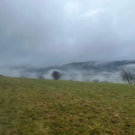 Apartment Angelina Baiersbronn