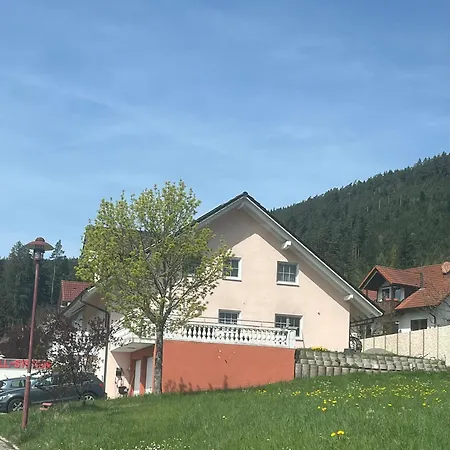 Angelina Apartmán *