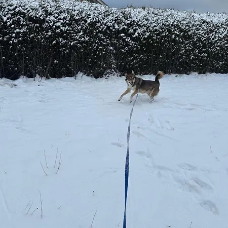 Angelina Baiersbronn