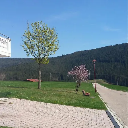 Angelina Apartmán *